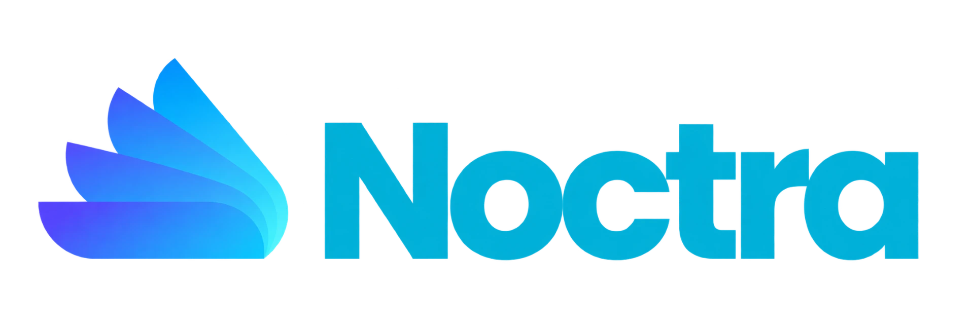Noctra Solutions